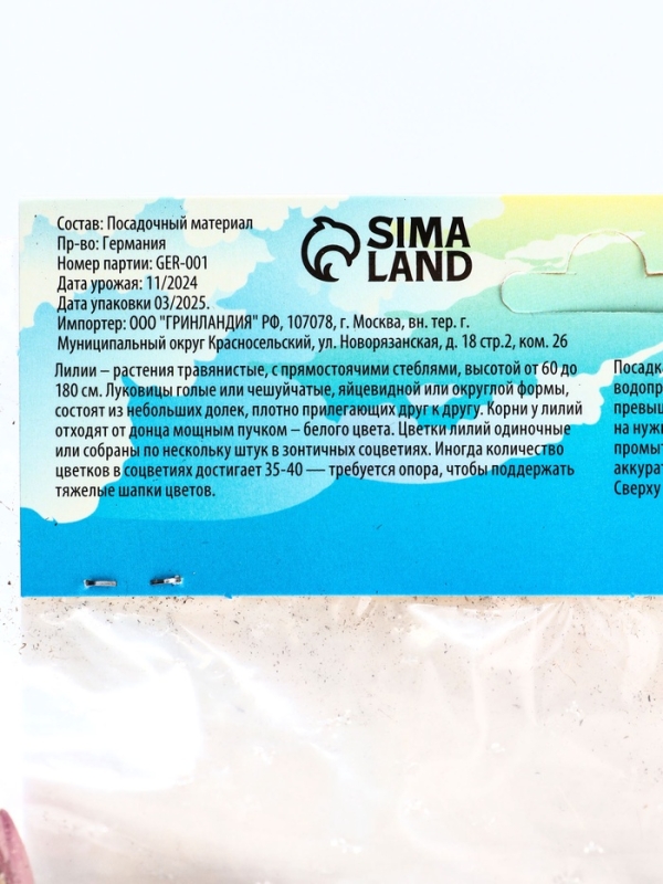 Лилия «Ориентал Диззи», луковица в пакете с перфорацией, р-р 14/16, 2 шт.