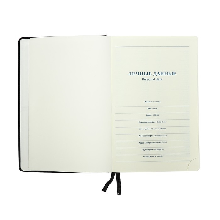 Ежедневник НЕдатированный А5, 136 листов в линейку, кожзам Ежедневник НЕдатированный А5, 136 листов в линейку, кожзам "Небраска", серебряный срез, черный