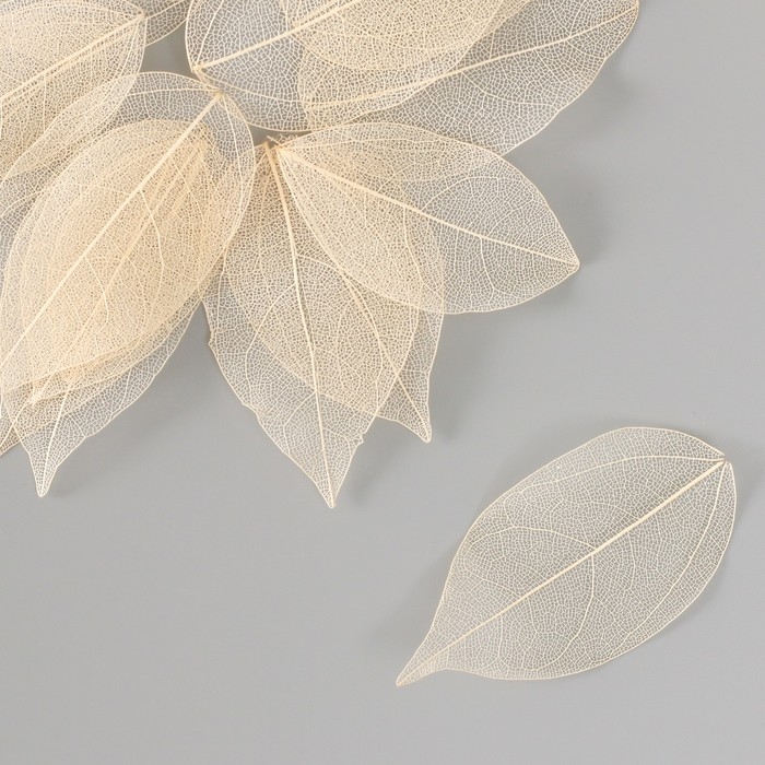 Листья скелетированные для творчества "Телесные" набор 20 шт h=6-6,5 см