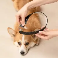 VETTA Ошейник для домашних животных, искусственная кожа, 2,5х50 см, обхват 35,5-45,5 см