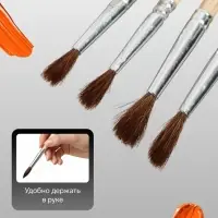 Набор кистей для рисования, пони, 4 штуки: № 2, 4, 6, 8, круглые, деревянная ручка, международный размер