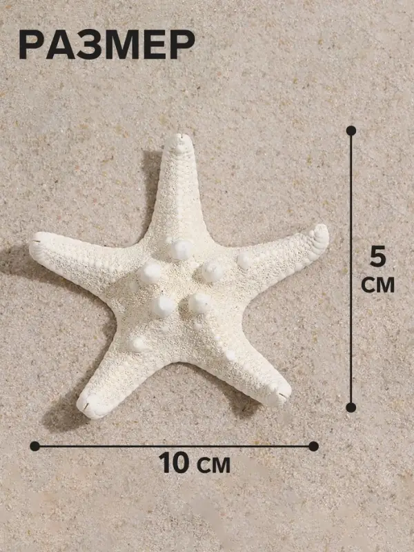 Набор из 3 морских звезд, размер каждой 5-10 см, белые