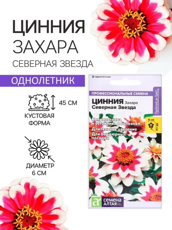 Семена цветов Цинния Захара &laquo;Северная звезда&raquo;, 5 шт., &laquo;Семена Алтая&raquo;