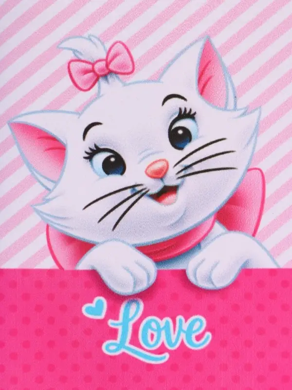 Кошелек детский на липучке, Коты аристократы