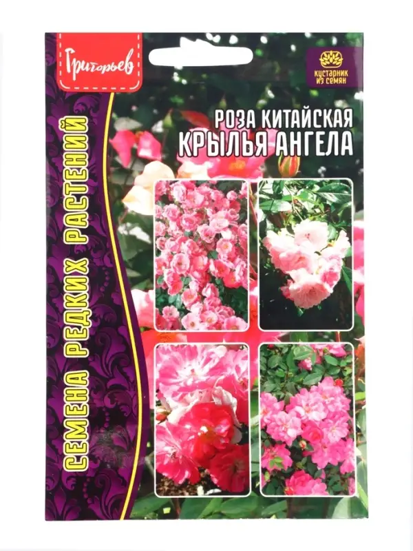 Семена цветов Роза Angel Wings китайская 7шт.  АКЦИЯ !!!  12.28 г.