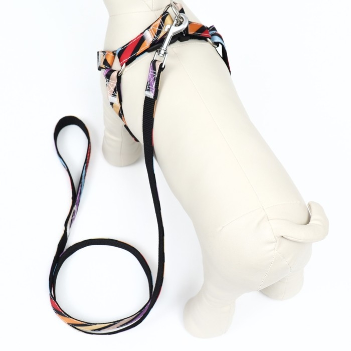 Комплект амуниции двухслойный, размер L, поводок 120 х 2 см, ОШ 31-45 см , ОГ 35-52 см, разноцветный Комплект амуниции двухслойный, размер L, поводок 120 х 2 см, ОШ 31-45 см , ОГ 35-52 см, разноцветный