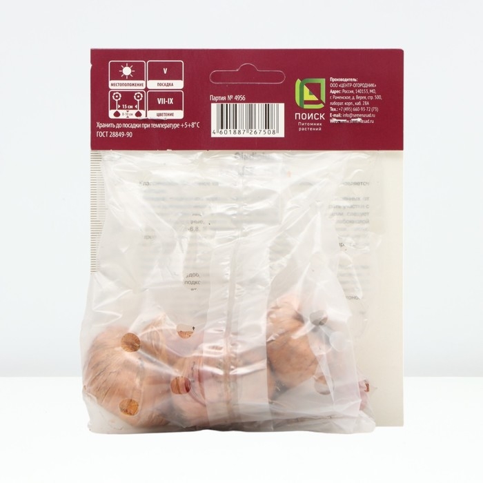 Гладиолус крупноцветковый «Дайдор Де Пан», луковица цветов в пакете с перфорацией, р-р 12/14, 5 шт.