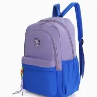 Рюкзак молодёжный на молнии, с карманами, двухцветный, размер 31&times;15&times;46 см, сиреневый