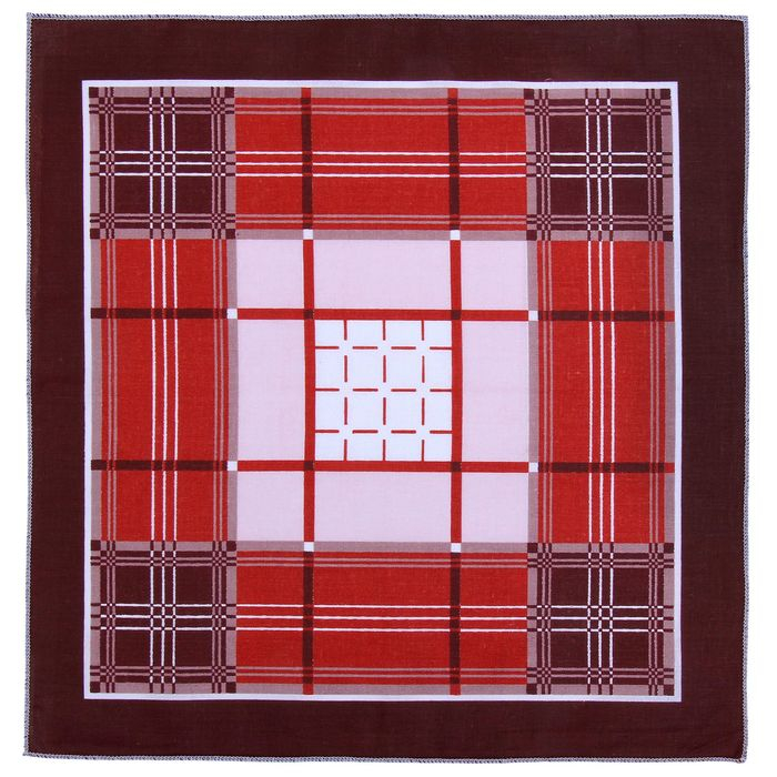 Мужские носовые платки  Мужские носовые платки "Этель" размер 30х30 см, (набор 12 шт,) цвет коричневый, рисунок МИКС