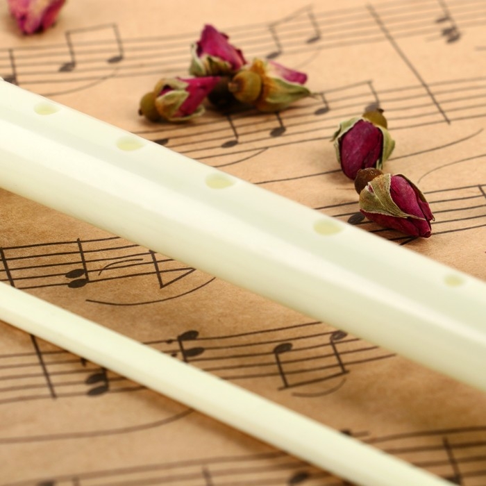 Блокфлейта Music Life, бежевая, немецкая система, сопрано, 30 см Блокфлейта Music Life, бежевая, немецкая система, сопрано, 30 см