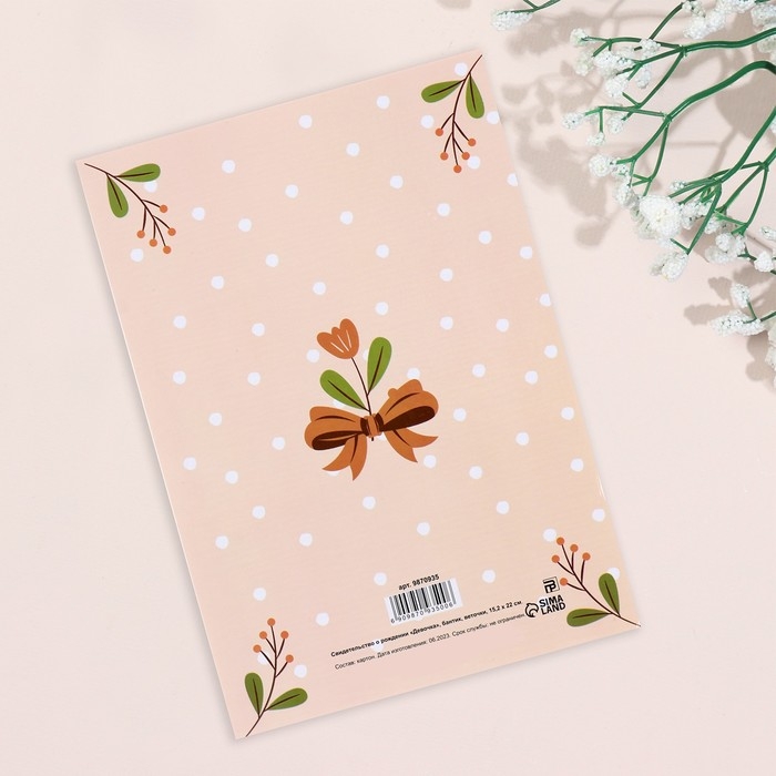 Папка под свидетельство о рождении  Папка под свидетельство о рождении "Девочка" бантик, веточки, А5