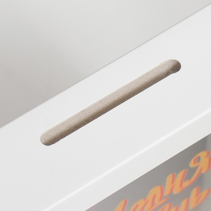 Копилка интерьерная пластик Копилка интерьерная пластик "Сегодня твой день!" 17х12х3,8 см