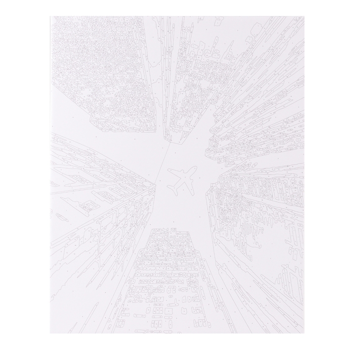 Картина по номерам «Взлёт», на холсте с подрамником, 40 × 50 см