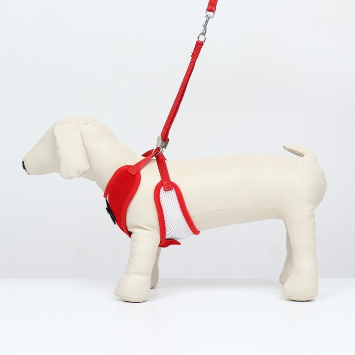 Комплект с мягкой шлейкой и бантиком, размер L, поводок 120 x 1,5 см, ОГ 35-50 см, красный Комплект с мягкой шлейкой и бантиком, размер L, поводок 120 x 1,5 см, ОГ 35-50 см, красный