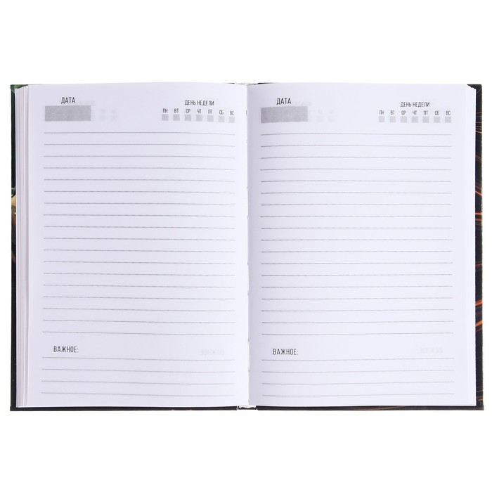 Ежедневник недатированный на сшивке А5 136 листов, интегральная обложка, глянцевая ламинация Ежедневник недатированный на сшивке А5 136 листов, интегральная обложка, глянцевая ламинация "Премиальный стиль"