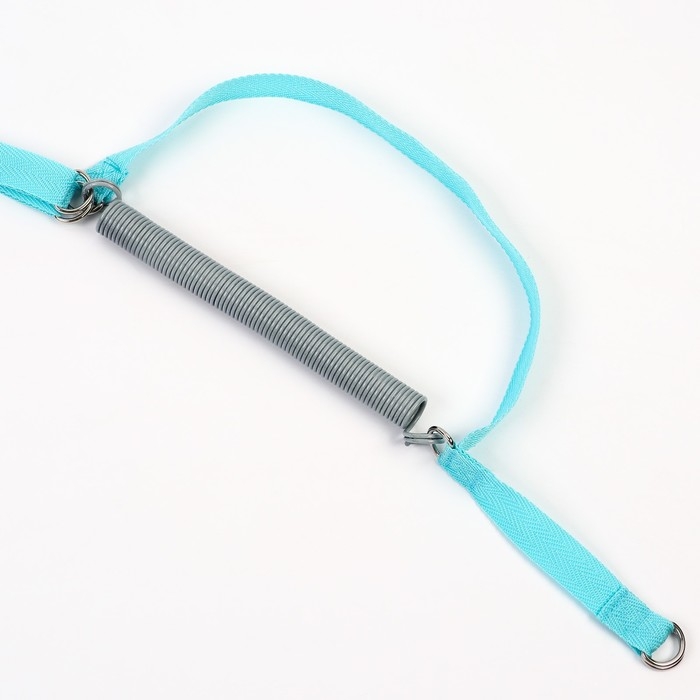 Прыгунки №1, 2в1 «Ёжики» (прыгунки, качели, тарзанка) Прыгунки №1, 2в1 «Ёжики» (прыгунки, качели, тарзанка)