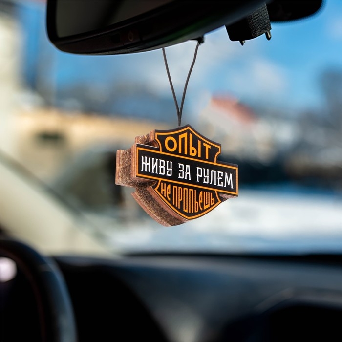 Подвеска автомобильная Grand Caratt Подвеска автомобильная Grand Caratt "Опыт не пропьёшь", дерево, войлок