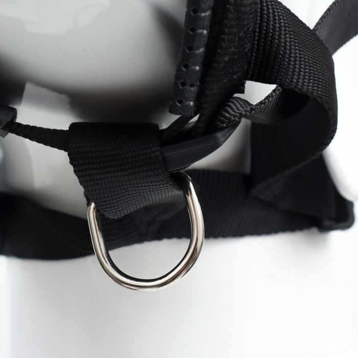 Недоуздок-намордник для собак с подкладом, размер XL, ОM  23-34 см, ОШ 20-28 см, черный Недоуздок-намордник для собак с подкладом, размер XL, ОM  23-34 см, ОШ 20-28 см, черный