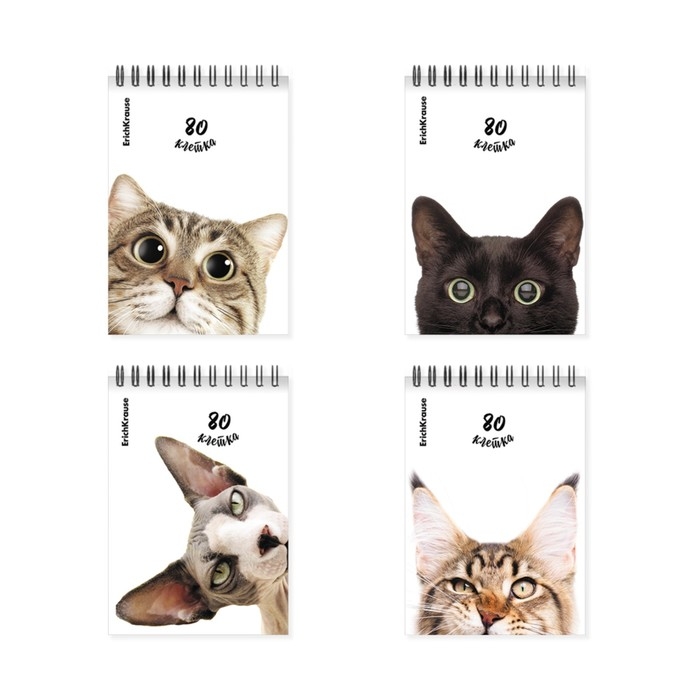 Блокнот на спирали А6, 80 листов, клетка, ErichKruase Блокнот на спирали А6, 80 листов, клетка, ErichKruase "Котики", картонная обложка, блок офсет, белизна 100%, МИКС