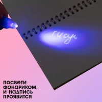 Ручка шпиона «Принцесса», с блокнотом, невидимые чернила, ультрафиолетовый фонарик