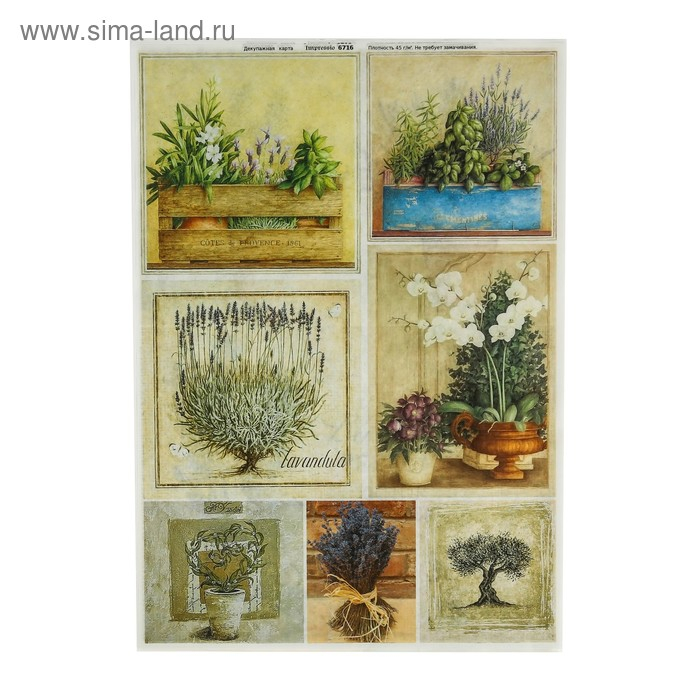 Набор декупажных карт 6 шт «Травы Прованса» Набор декупажных карт 6 шт «Травы Прованса»