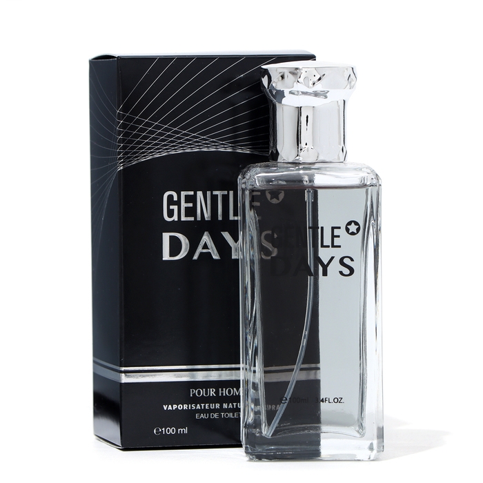 Туалетная вода мужская Gentle Days, 100 мл Туалетная вода мужская Gentle Days, 100 мл