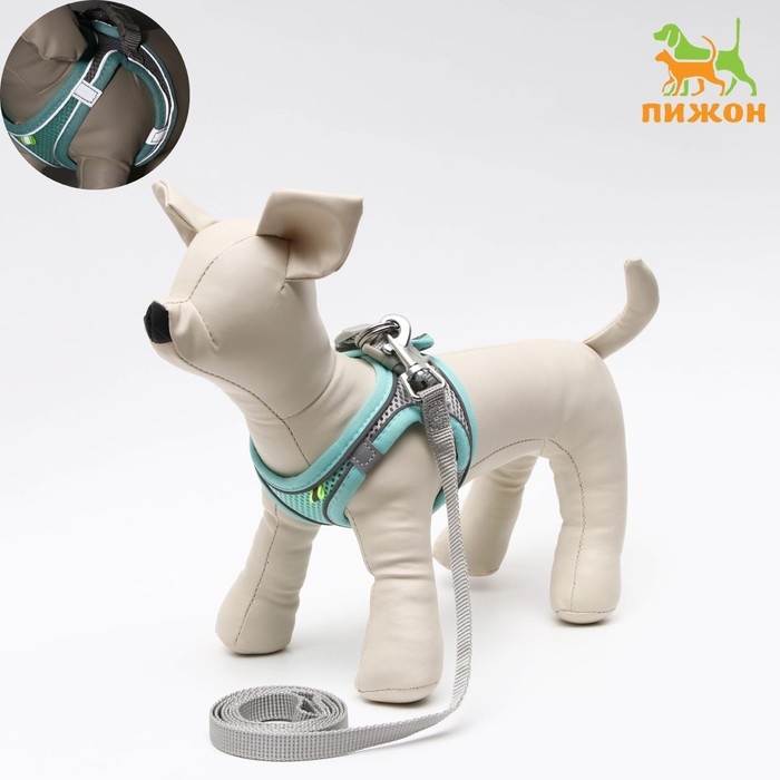 Комплект с мягкой шлейкой, быстросъемный, XS, поводок 150 х1,5 см, ОШ 29-32 ОГ 31-34 см, бирюзовый Комплект с мягкой шлейкой, быстросъемный, XS, поводок 150 х1,5 см, ОШ 29-32 ОГ 31-34 см, бирюзовый