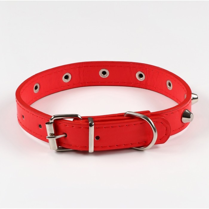 Ошейник с затупленными шипами, 45 х 2 см, микс цветов Ошейник с затупленными шипами, 45 х 2 см, микс цветов