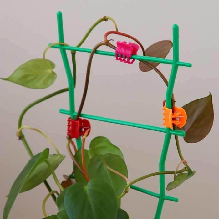 Клипса для растений, набор 10 шт., МИКС