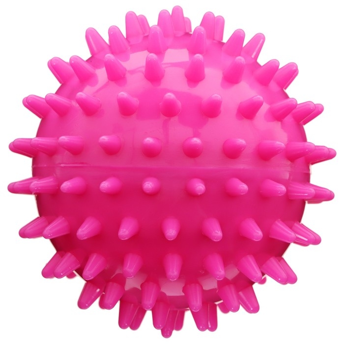 Набор для фитнеса ONLYTOP «На тренировке»: 3 фитнес-резинки, бутылка для воды, массажный мяч Набор для фитнеса ONLYTOP «На тренировке»: 3 фитнес-резинки, бутылка для воды, массажный мяч