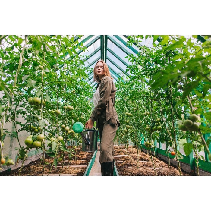 Лейка, 8 л, с рассеивателем, оцинкованная, носик d = 25 мм Лейка, 8 л, с рассеивателем, оцинкованная, носик d = 25 мм