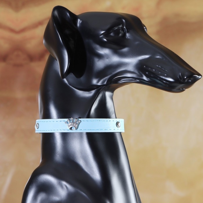 Ошейник Ошейник "Корона" с металлическим декором и со стразами, 36 х 1,4 см, ОШ 24-31, голубой