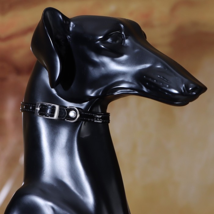 Ошейник Ошейник "Сияние" с бусиной и бубенчиком, 29 х 1 см, ОШ 21-26, чёрный