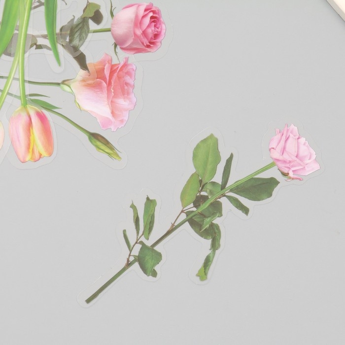 Наклейки пластик Наклейки пластик "Цветы и цитаты. Розовые" набор 12 шт 8,5х21,5х0,2 см