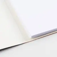 Бумага для черчения А4, 20 листов, без рамки, белизна 100%, 160 г/м² в папке