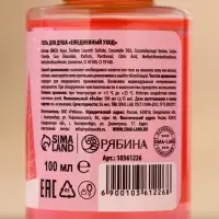 Новогодний подарочный набор косметики &laquo;Мечтай&raquo;: гель для душа 2&times;100 мл и мочалка для тела, URAL LAB