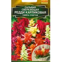 Семена цветов Сальвия Редди карликовая, смесь сортов  С. Hem Genetics Золотая серия, Ц/П,7 шт. 10945
