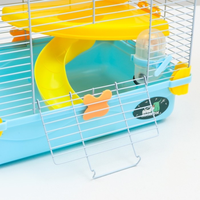 Клетка для грызунов Клетка для грызунов "Пижон", 31 х 24 х 46 см, голубая