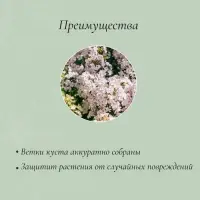 Кустодержатель для цветов, d=40 см, h=120 см, ножка d=1 см, металл, зелёный