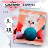 Тетради 5 штук, 36 листов в клетку Calligrata &laquo;Котята&raquo;, обложка мелованный картон, блок офсет
