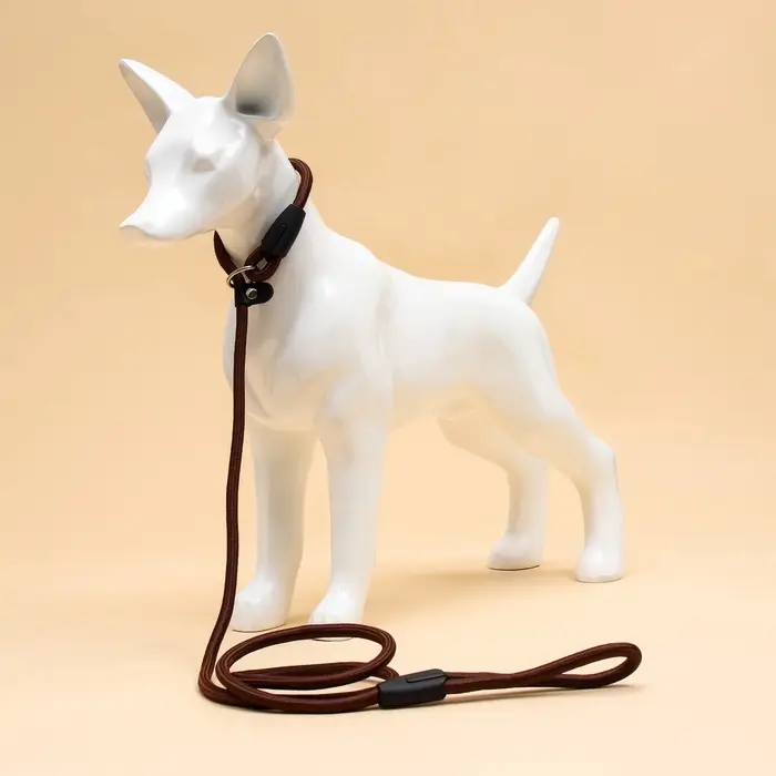 Ринговка для собак, 130&times;0.8 см, коричневая