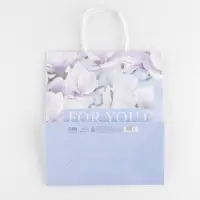 Пакет подарочный крафтовый, упаковка, For you, 22 х 25 х 12 см