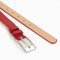 Ремень женский, 110&times;2.7 см, пряжка металл, серебристая, красный