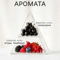 Диффузор ароматический с палочками Ягоды годжи, 100 мл