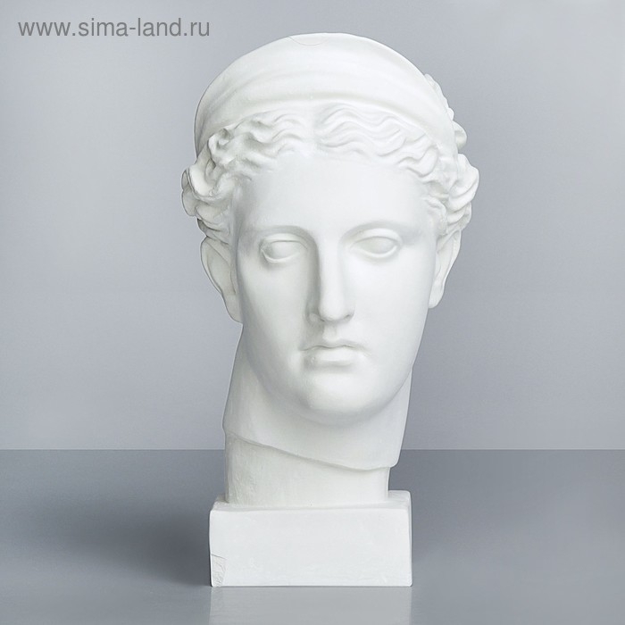 Гипсовая фигура Голова Дианы, 20 х 34 х 37 см Гипсовая фигура Голова Дианы, 20 х 34 х 37 см
