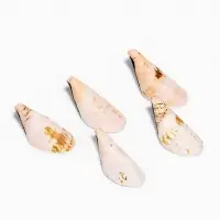 Набор ракушек декоративных, длина 4 см, 5 шт.