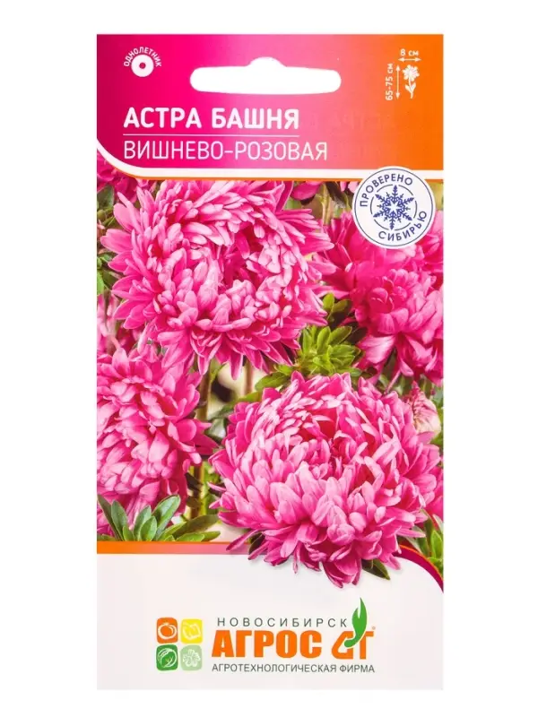 Семена Астра Башня Вишнево-Розовая 0,3 г Семена Астра Башня Вишнево-Розовая 0,3 г