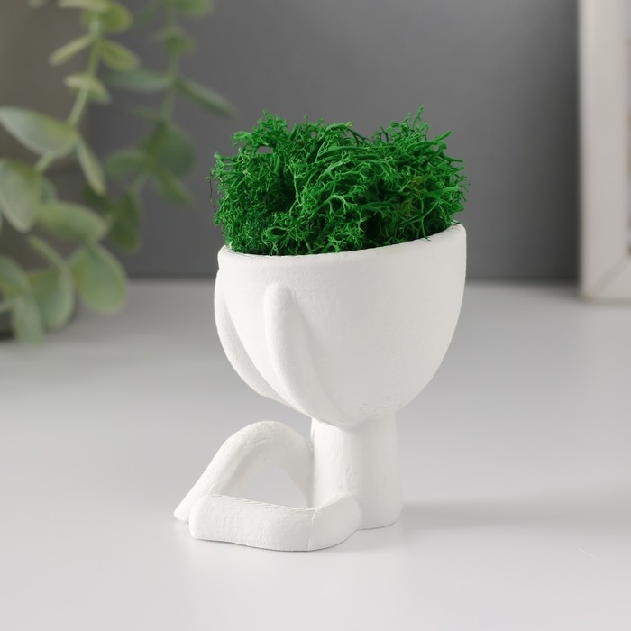Стабилизированный мох в кашпо из бетона «Мистер Грин Мидзару», мини, 5.5×6.5×6.5 см, белый Стабилизированный мох в кашпо из бетона «Мистер Грин Мидзару», мини, 5.5×6.5×6.5 см, белый