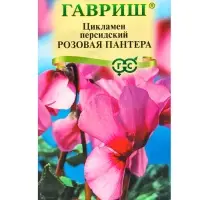 Набор семян Цикламен персидский, розовый, 3 шт.