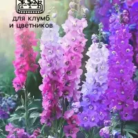 Семена цветов Дельфиниум  "Экскалибур роуз виз би", F1, 10 шт.